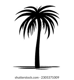 Palm Tree Vector Minimal Line Summer Art with no White Background