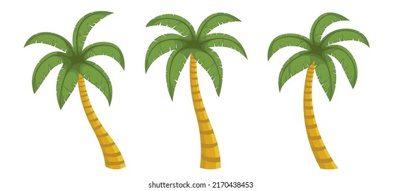 Vector de árbol de palma sobre un fondo blanco. Conjunto de ilustración plana vectorial de palmera. Conjunto de ilustraciones vectoriales de árbol.