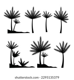 
vector de palmera, exterior de palma, silueta vectorial de árbol tropical, ilustración natural de arte de la palma, vector de hoja al aire libre, elemento de playa de verano, ilustración vectorial de árbol de coco



