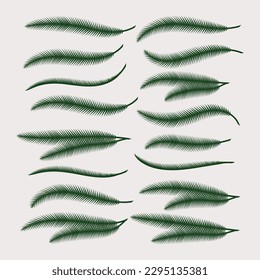 
vector de palmera, exterior de palma, silueta vectorial de árbol tropical, ilustración natural de arte de la palma, vector de hoja al aire libre, elemento de playa de verano, ilustración vectorial de árbol de coco



