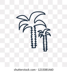 Palm tree vector outline icon isolated on transparent background, high quality linear Palm tree transparency concept can be used web and mobile
