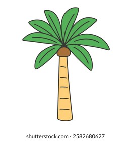 A palm tree vector perfect for tropical island, summer, and beach related designs.