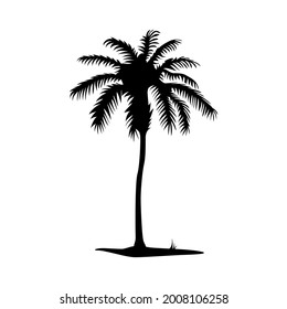 Palm Tree Vector Png Isolated On Stock Vector (Royalty Free) 2008106258 ...