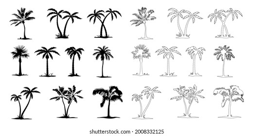 Palm tree vector png isolated on white background. palm tree editable eps 10.