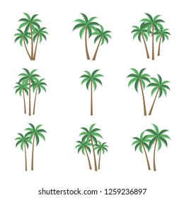 A palm tree vector set.