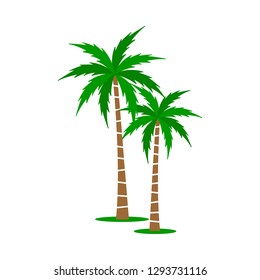 A palm tree vector set.