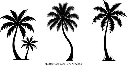 Colección de silueta de Vector de palmera. Iconos de plantas tropicales para carteles de fiesta en la playa, viajes de verano y gráficos de paisajes de islas.
