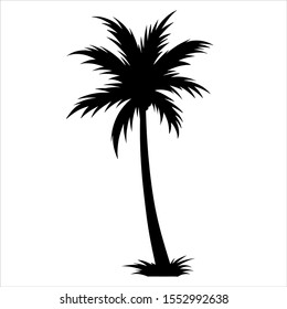Palm Tree vector Silhouette. eps format