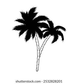 palm tree vector, palm tree vector silhouette illustration