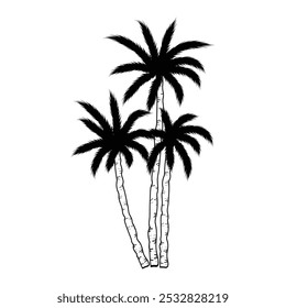 Vector de palmera, ilustración de silueta de Vector de palmera