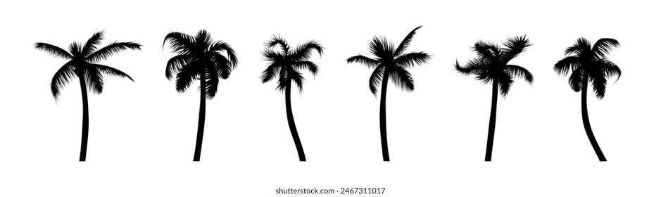 Palm tree vector silhouette set. Palm trees flat black illustration collection.