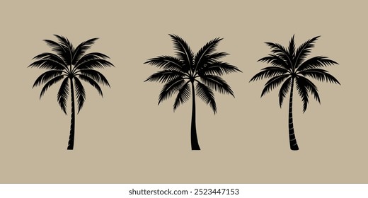 Vector de palmeras | Ilustración de árbol tropical para verano, vacaciones y Naturaleza