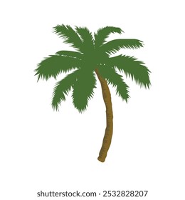 palm tree vector, tropical palm tree vector  illustration