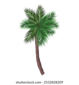 palm tree vector, tropical palm tree vector  illustration