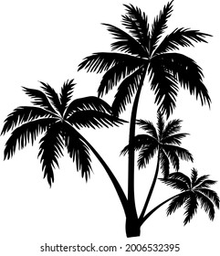 palm tree vector for your design