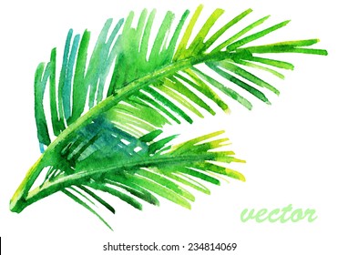 Palm tree watercolor original painting. Watercolor Vector.