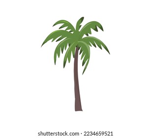 Palm tree with a white background,vector illustration