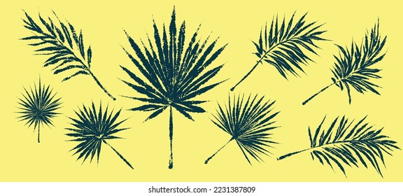 Palm treeleaves. Textured ink brush drawing. illustration