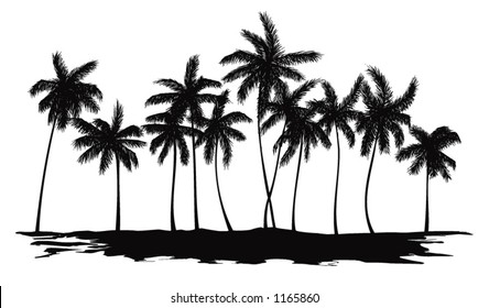 Palm trees