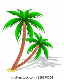 Palm trees