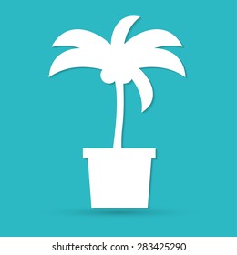 Palm trees