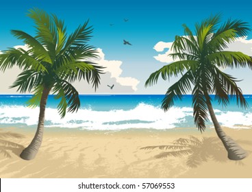 Palm trees