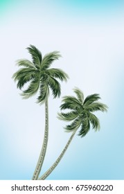 Palm trees against blue sky. Summer background