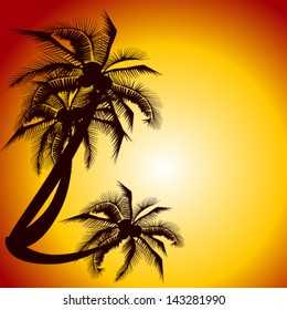 palm trees against a decline