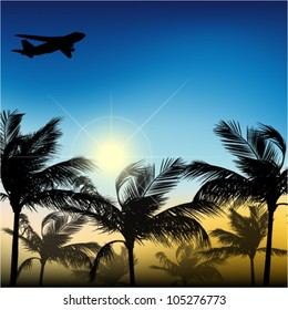 Palm trees against the sky and the sun of an airplane