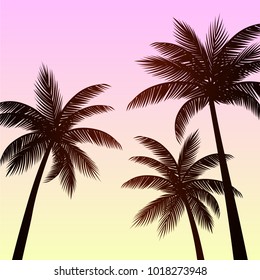 Palm trees background