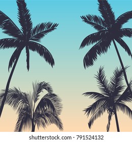 Palm trees background