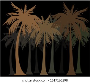 palm trees background, silhouette of palm  forest