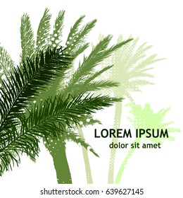 Palm trees background. Vector