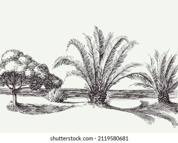 Palm trees beach, sand on shore of the sea hand drawing
