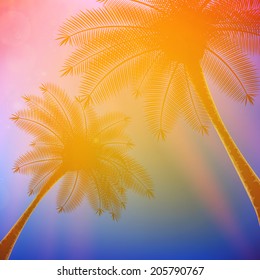 Palm trees with beautiful sunset. EPS10