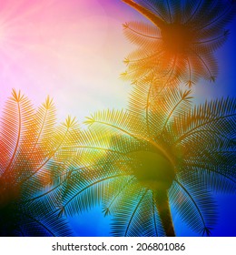 Palm trees with beautiful sunset. EPS10