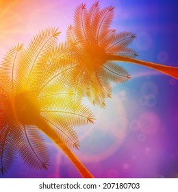 Palm trees with beautiful sunset. EPS10
