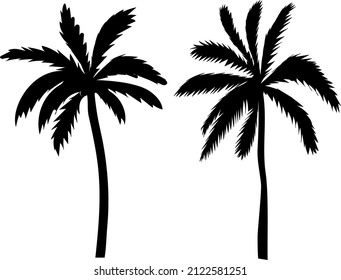 palm trees black silhouette, isolated vector