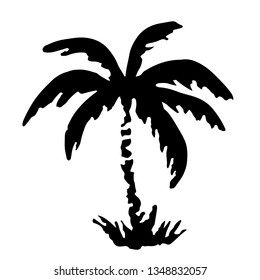 Palm trees black silhouette. Sketch hand drawn isolated on white background