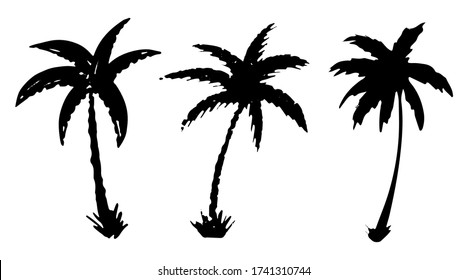 Palm trees black silhouettes, icon, logo set. Sketch hand drawn isolated on white background