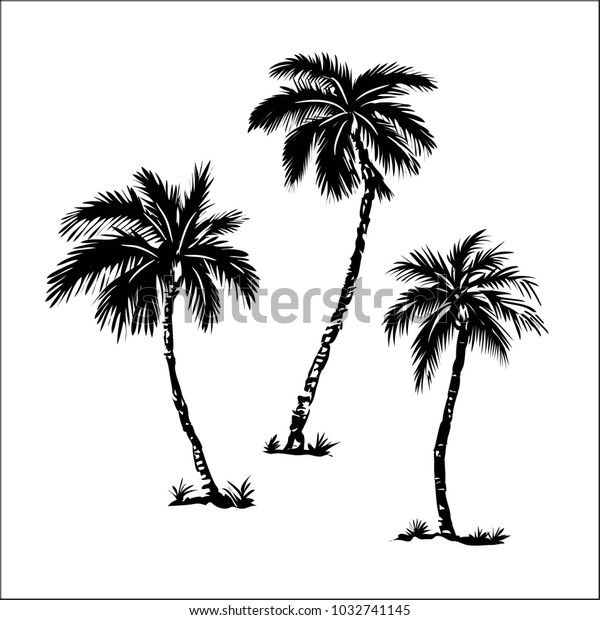 Palm Trees Black Silhouettes Isolated On Stock Vector (Royalty Free ...