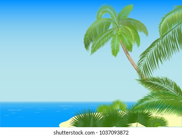 Palm trees and blue see. Vector illustration.