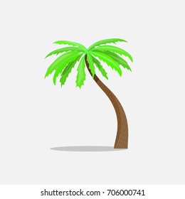 Palm trees in cartoon style isolated on white background Vector Illustration. Tropical summer tree plant symbol