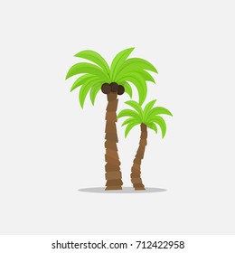 Palm trees in cartoon style isolated on white background Vector Illustration. Tropical summer tree plant on nature for your projects.