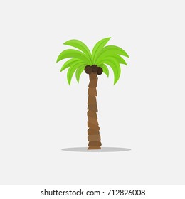 Palm trees in cartoon style isolated on white background Vector Illustration. Tropical summer tree plant on nature for your projects.