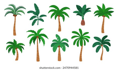 Palm trees. Cartoon summer season botanical tropical green plant. Exotic decorative Brazil and Hawaii subtropical beach tree. Foliage and floral elements. Vector collection. Jungle paradise