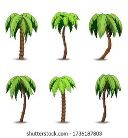 Palm trees clip art set. Vector illustration isolated on white background. Elements for design.