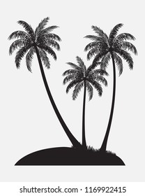 Palm trees, coconut trees, black silhouette isolated on white background. Vector illustration