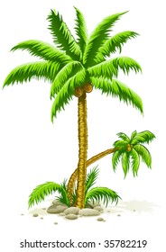 palm trees with coconut fruits - vector illustration