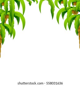 Palm trees and coconuts, background, vector